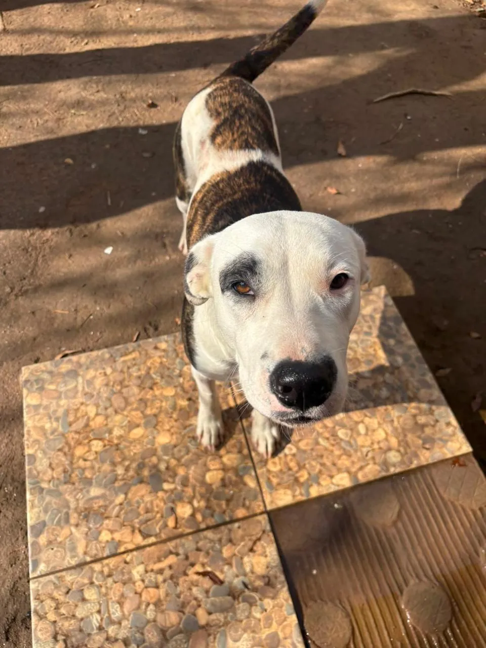 Fiona